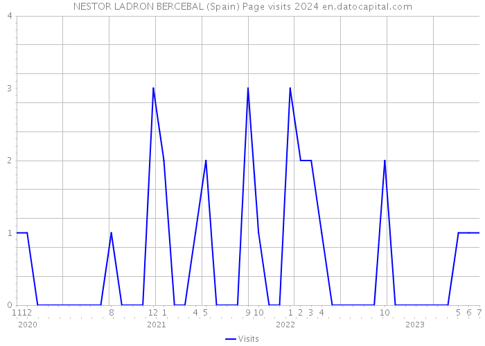 NESTOR LADRON BERCEBAL (Spain) Page visits 2024 