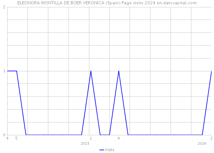 ELEONORA MONTILLA DE BOER VERONICA (Spain) Page visits 2024 