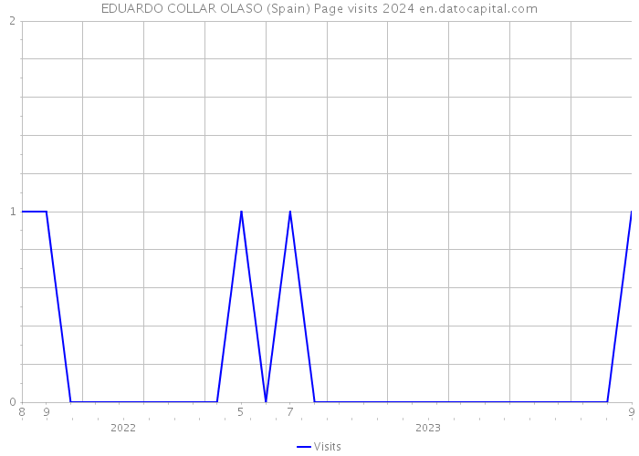 EDUARDO COLLAR OLASO (Spain) Page visits 2024 