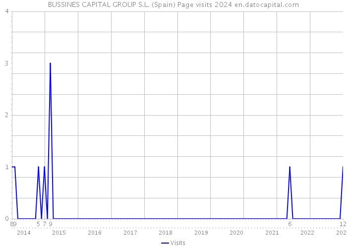 BUSSINES CAPITAL GROUP S.L. (Spain) Page visits 2024 
