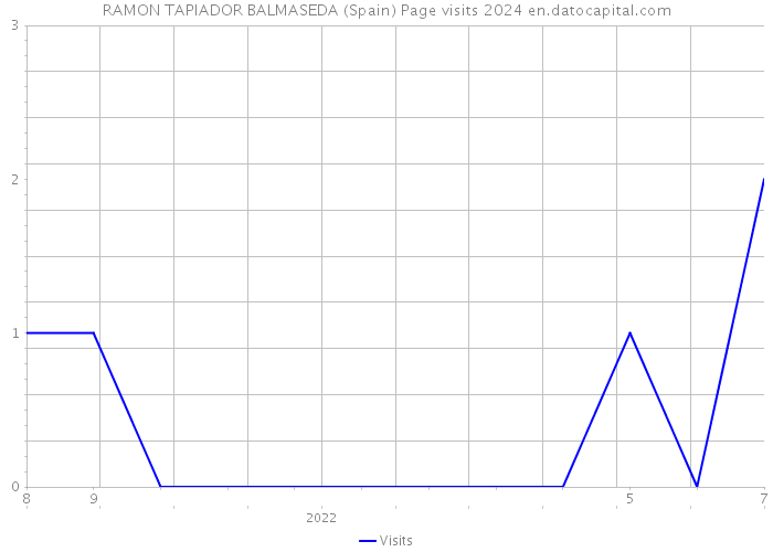 RAMON TAPIADOR BALMASEDA (Spain) Page visits 2024 