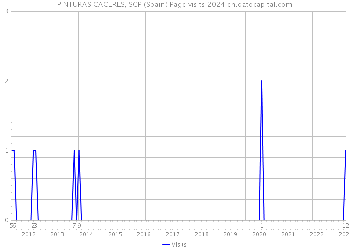 PINTURAS CACERES, SCP (Spain) Page visits 2024 