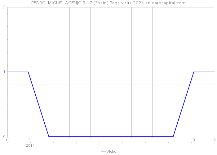 PEDRO-MIGUEL AGENJO RUIZ (Spain) Page visits 2024 