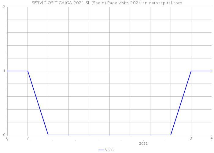SERVICIOS TIGAIGA 2021 SL (Spain) Page visits 2024 