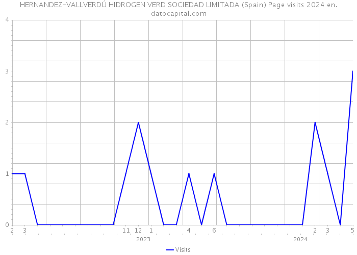 HERNANDEZ-VALLVERDÚ HIDROGEN VERD SOCIEDAD LIMITADA (Spain) Page visits 2024 