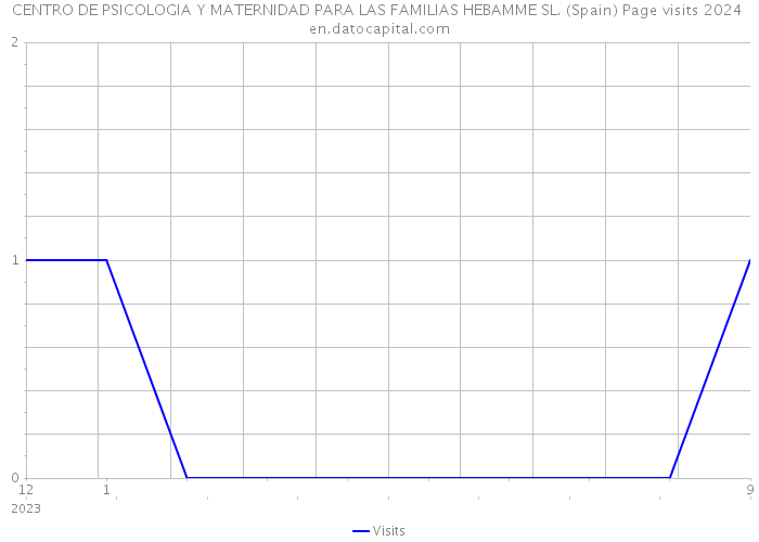 CENTRO DE PSICOLOGIA Y MATERNIDAD PARA LAS FAMILIAS HEBAMME SL. (Spain) Page visits 2024 