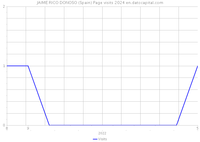 JAIME RICO DONOSO (Spain) Page visits 2024 