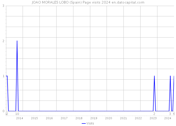 JOAO MORALES LOBO (Spain) Page visits 2024 