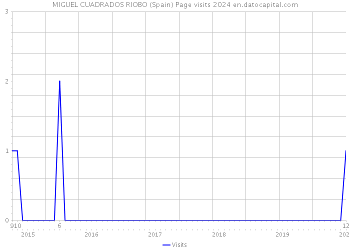 MIGUEL CUADRADOS RIOBO (Spain) Page visits 2024 