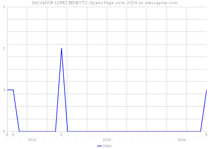 SALVADOR LOPEZ BENEYTO (Spain) Page visits 2024 