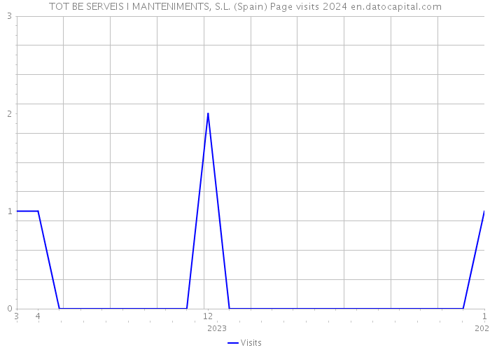 TOT BE SERVEIS I MANTENIMENTS, S.L. (Spain) Page visits 2024 