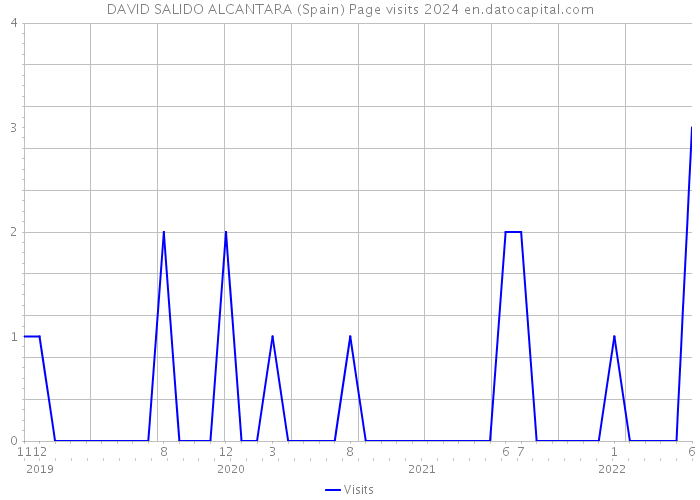 DAVID SALIDO ALCANTARA (Spain) Page visits 2024 