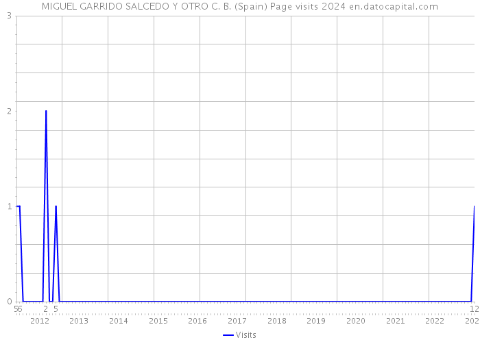 MIGUEL GARRIDO SALCEDO Y OTRO C. B. (Spain) Page visits 2024 