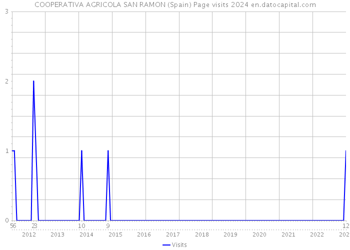 COOPERATIVA AGRICOLA SAN RAMON (Spain) Page visits 2024 