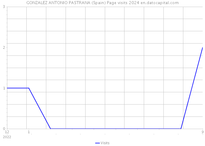 GONZALEZ ANTONIO PASTRANA (Spain) Page visits 2024 