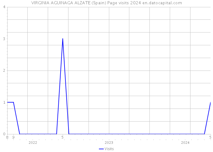 VIRGINIA AGUINAGA ALZATE (Spain) Page visits 2024 