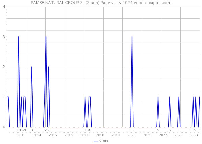 PAMBE NATURAL GROUP SL (Spain) Page visits 2024 