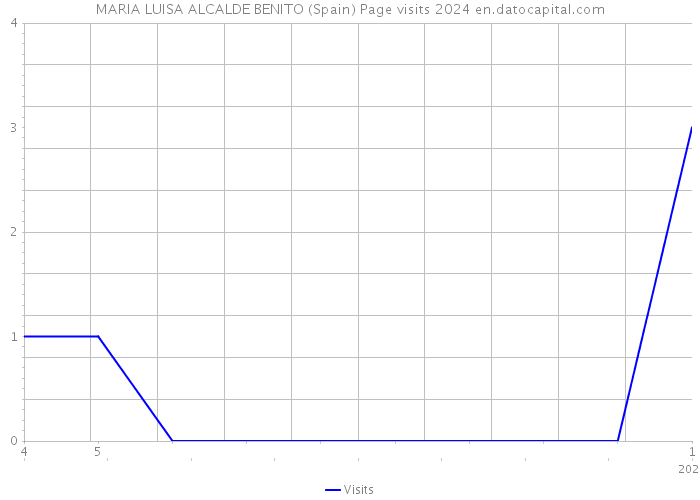 MARIA LUISA ALCALDE BENITO (Spain) Page visits 2024 