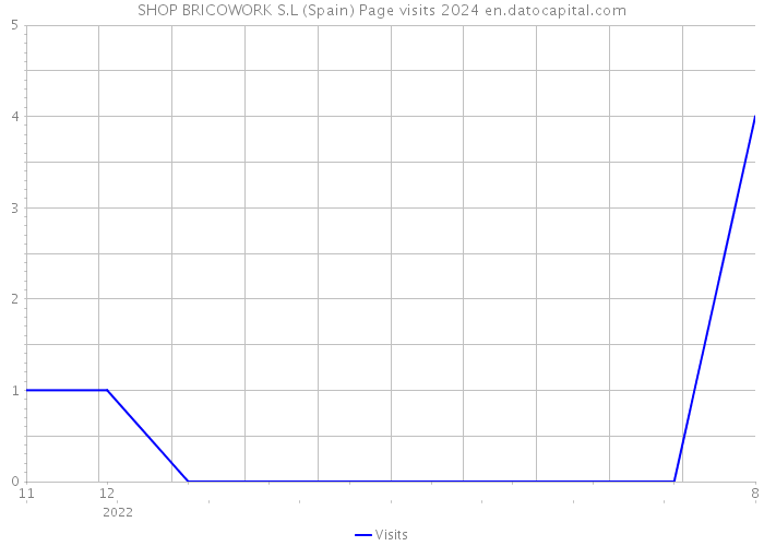 SHOP BRICOWORK S.L (Spain) Page visits 2024 