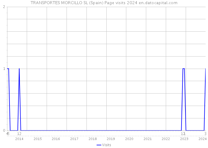 TRANSPORTES MORCILLO SL (Spain) Page visits 2024 