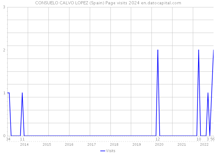 CONSUELO CALVO LOPEZ (Spain) Page visits 2024 
