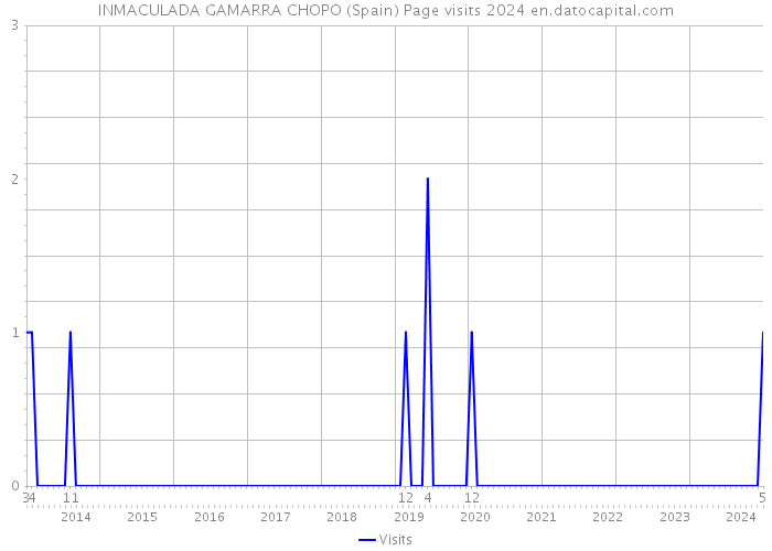 INMACULADA GAMARRA CHOPO (Spain) Page visits 2024 