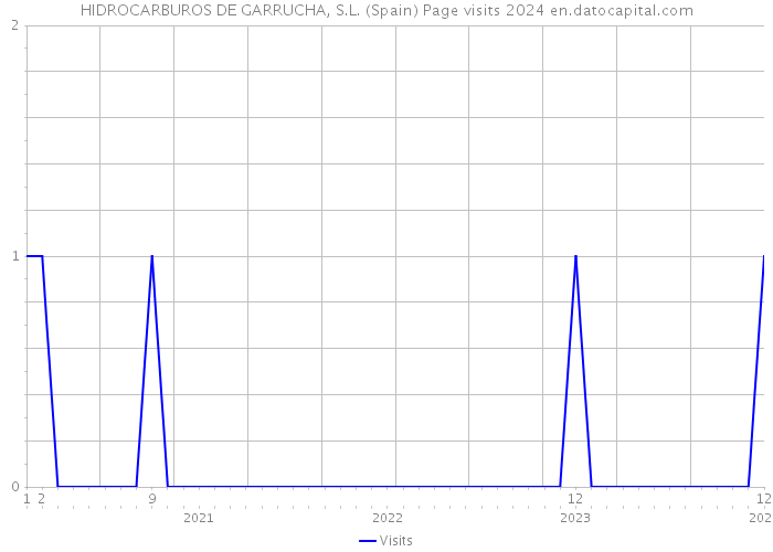 HIDROCARBUROS DE GARRUCHA, S.L. (Spain) Page visits 2024 