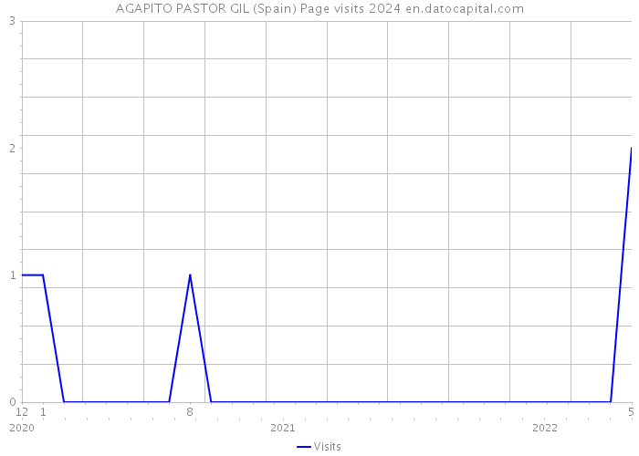 AGAPITO PASTOR GIL (Spain) Page visits 2024 