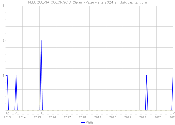 PELUQUERIA COLOR'SC.B. (Spain) Page visits 2024 