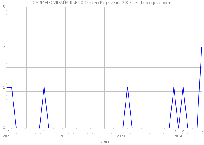 CARMELO VIDAÑA BUENO (Spain) Page visits 2024 