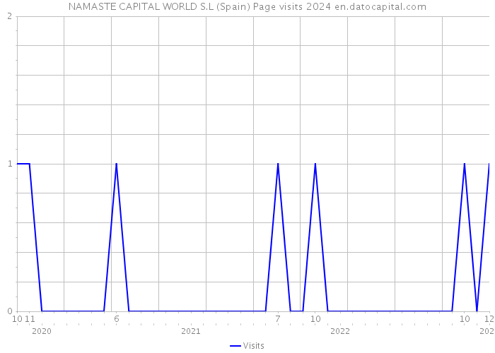 NAMASTE CAPITAL WORLD S.L (Spain) Page visits 2024 