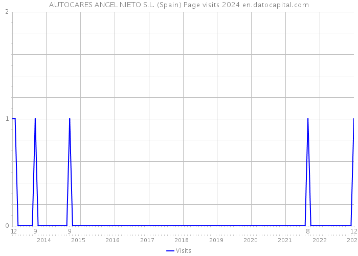 AUTOCARES ANGEL NIETO S.L. (Spain) Page visits 2024 