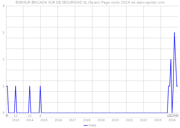 ENRISUR BRIGADA SUR DE SEGURIDAD SL (Spain) Page visits 2024 