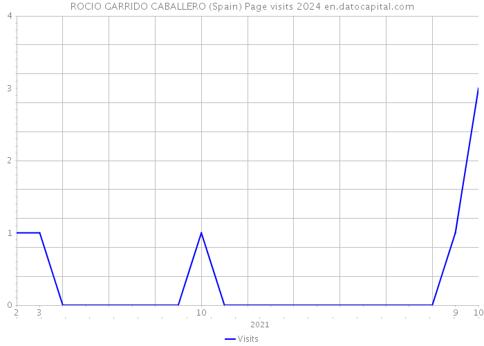 ROCIO GARRIDO CABALLERO (Spain) Page visits 2024 