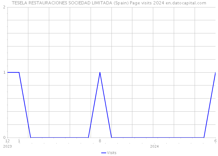 TESELA RESTAURACIONES SOCIEDAD LIMITADA (Spain) Page visits 2024 