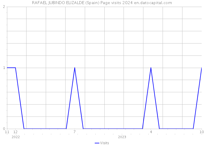 RAFAEL JUBINDO ELIZALDE (Spain) Page visits 2024 