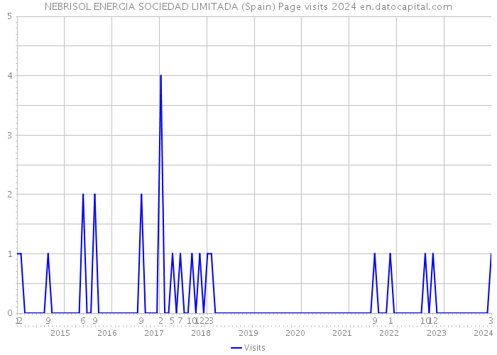 NEBRISOL ENERGIA SOCIEDAD LIMITADA (Spain) Page visits 2024 