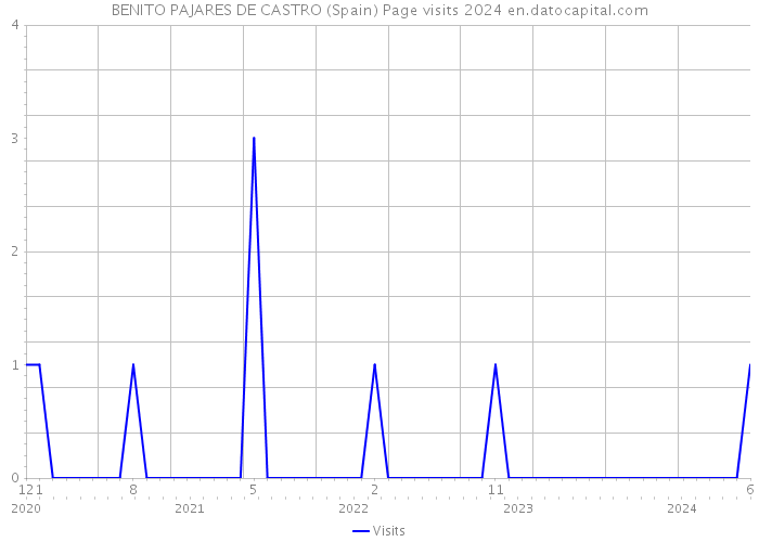 BENITO PAJARES DE CASTRO (Spain) Page visits 2024 