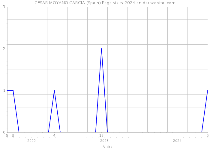 CESAR MOYANO GARCIA (Spain) Page visits 2024 