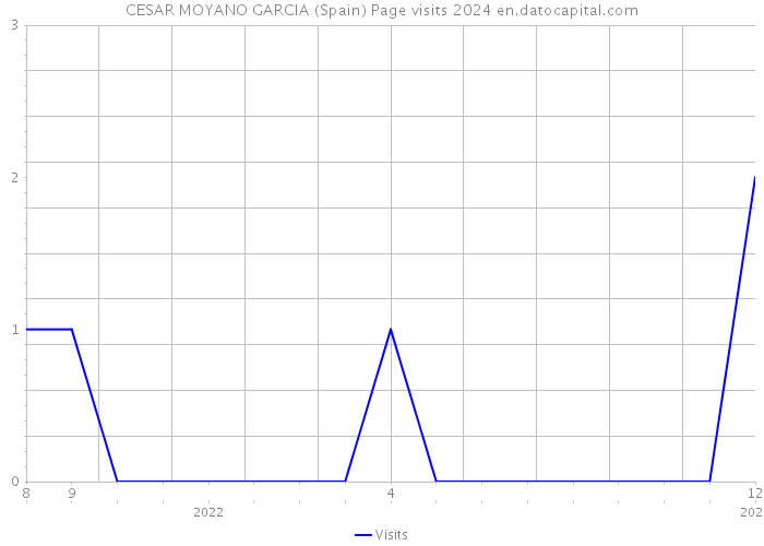 CESAR MOYANO GARCIA (Spain) Page visits 2024 