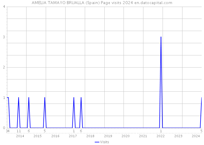 AMELIA TAMAYO BRUALLA (Spain) Page visits 2024 