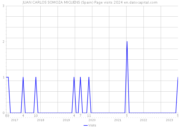 JUAN CARLOS SOMOZA MIGUENS (Spain) Page visits 2024 