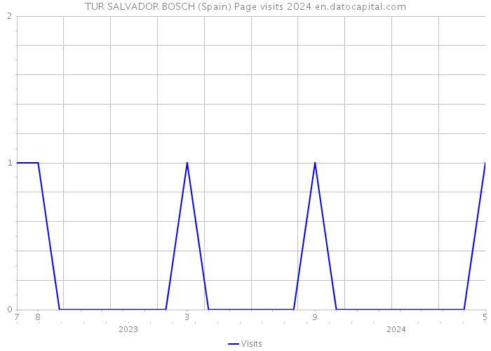 TUR SALVADOR BOSCH (Spain) Page visits 2024 