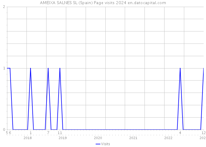 AMEIXA SALNES SL (Spain) Page visits 2024 