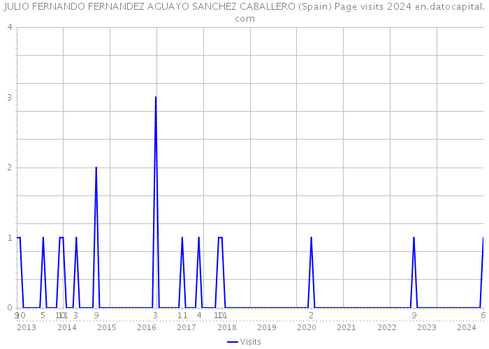 JULIO FERNANDO FERNANDEZ AGUAYO SANCHEZ CABALLERO (Spain) Page visits 2024 