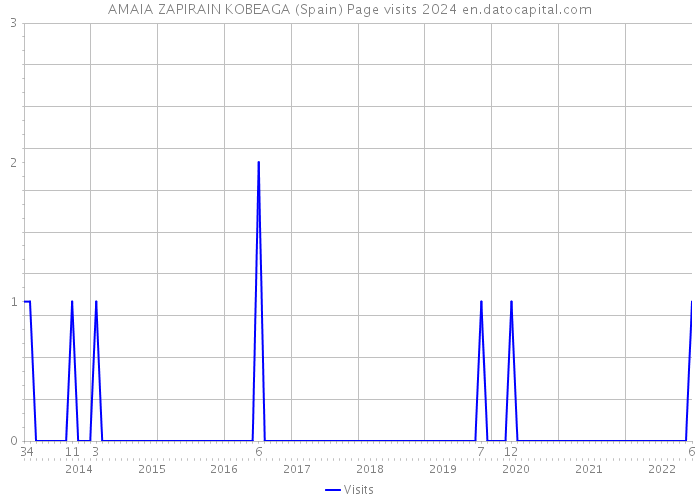 AMAIA ZAPIRAIN KOBEAGA (Spain) Page visits 2024 