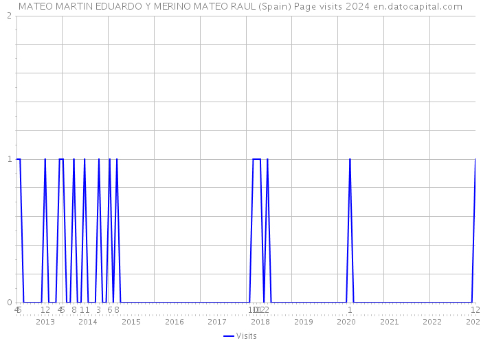 MATEO MARTIN EDUARDO Y MERINO MATEO RAUL (Spain) Page visits 2024 