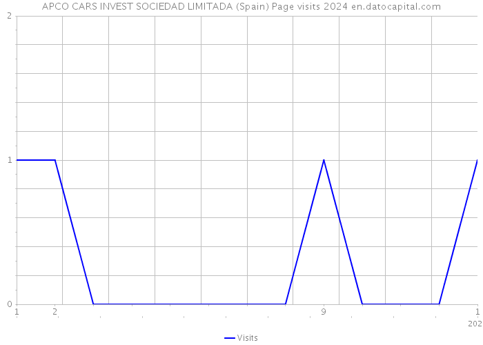 APCO CARS INVEST SOCIEDAD LIMITADA (Spain) Page visits 2024 