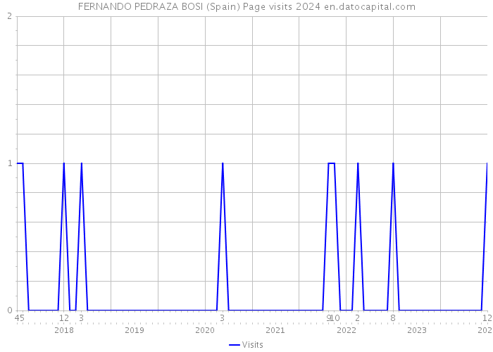 FERNANDO PEDRAZA BOSI (Spain) Page visits 2024 