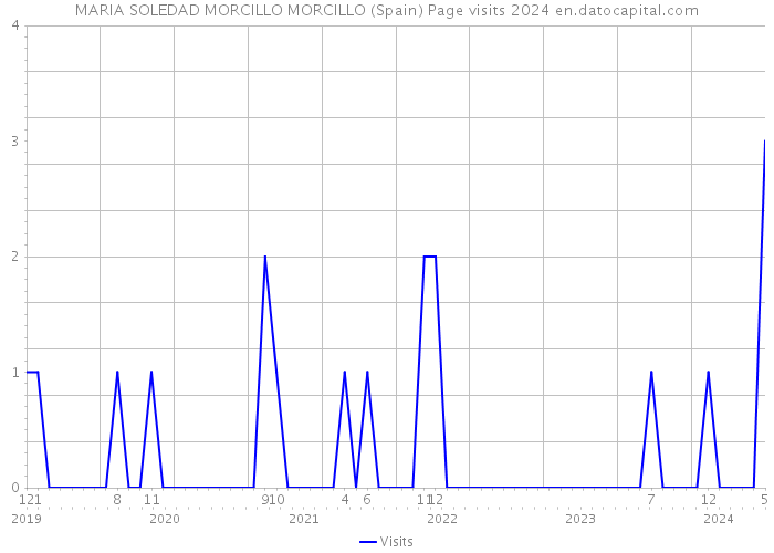 MARIA SOLEDAD MORCILLO MORCILLO (Spain) Page visits 2024 